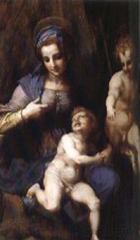 Andrea del Sarto Our Lady of St. John and the small sub France oil painting art